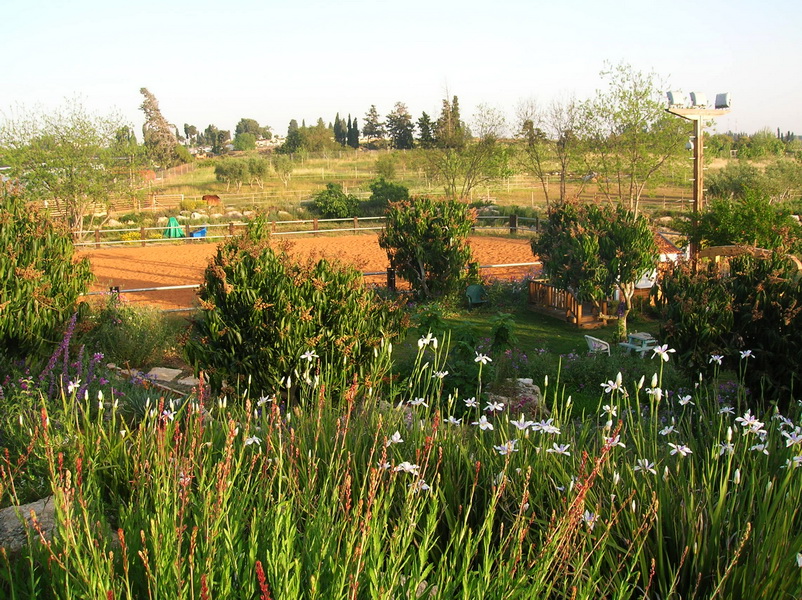 מרעה טבעי